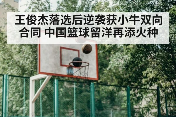 basketball training