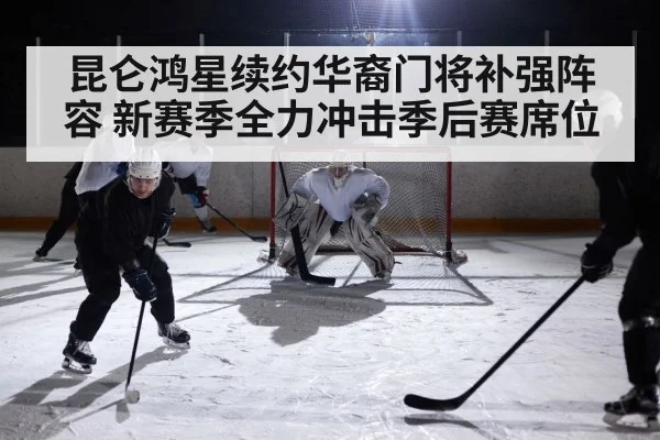 ice hockey arena action